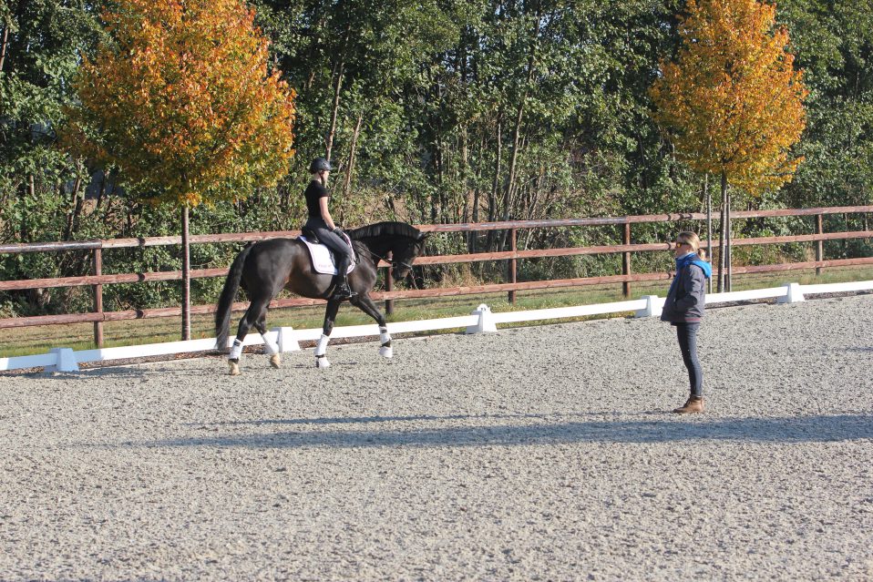 Helen Langehanenberg ging beim Unterricht auf jedes Reiter-Pferd-Paar individuell ein. Foto: PEMAG